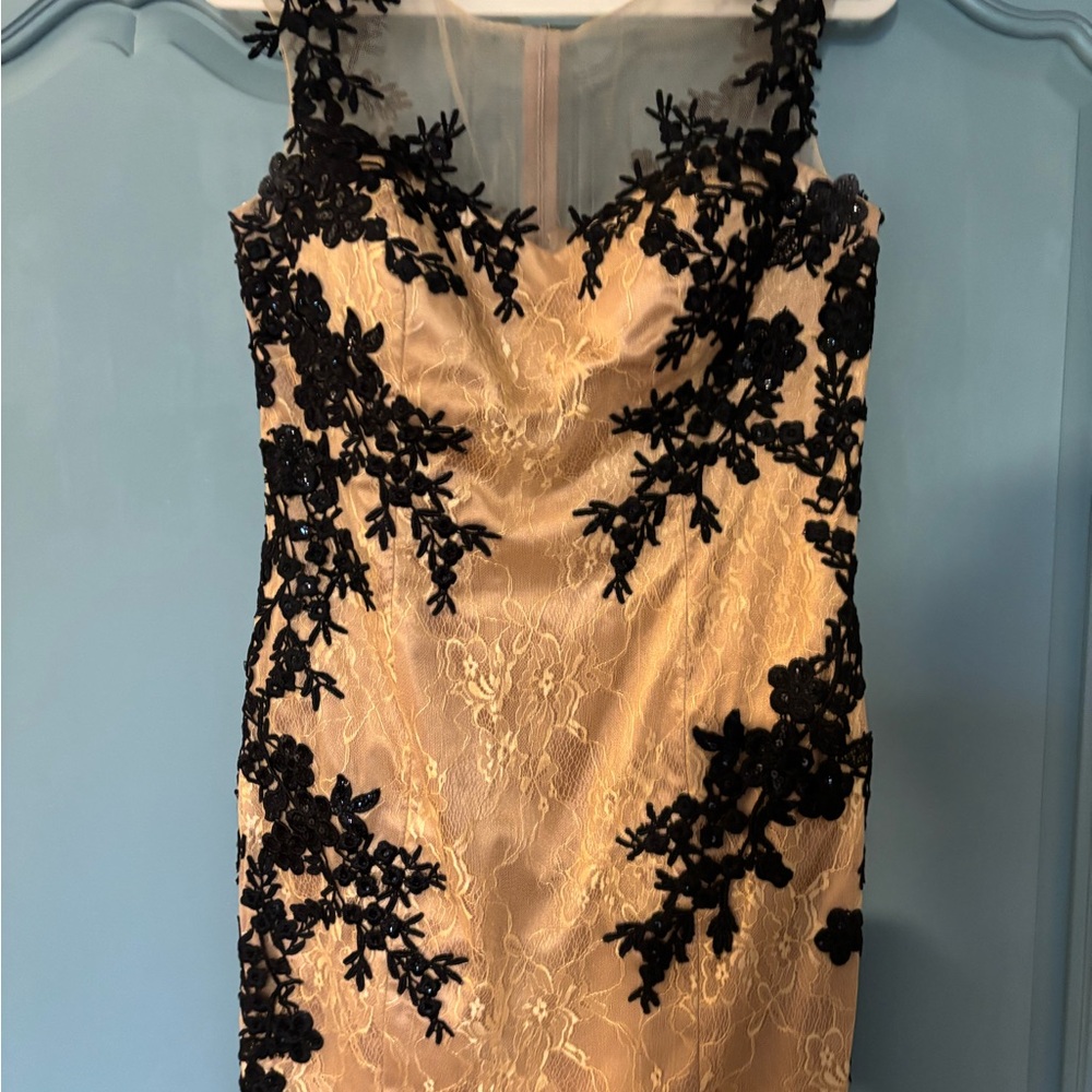 Elegant Black and Cream Lace Dress